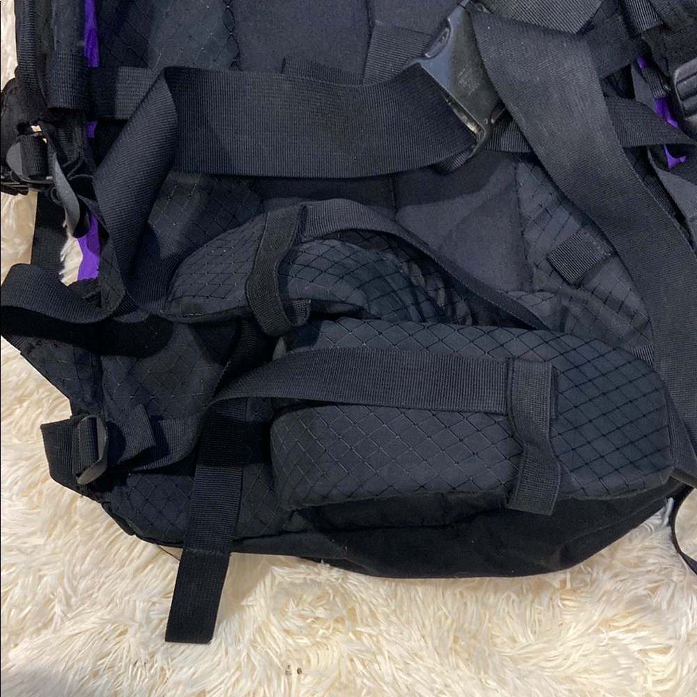 Alpine Black and Purple Adventure Backpack - Picture 7 of 9